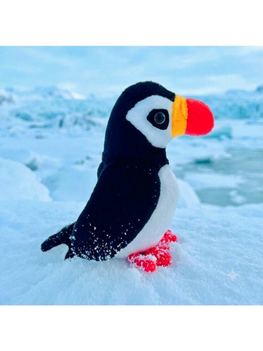 TY Beanie Babies Collection The Puffin Penguin Plush Retired 1997 Collectible